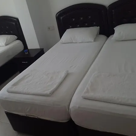 Bibilli Apart 2*