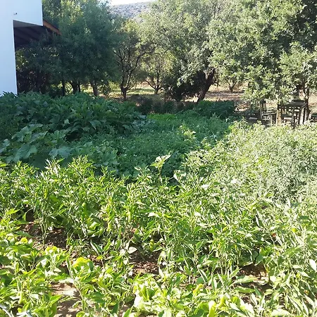 Apart Otel Bibilli Apart 2*